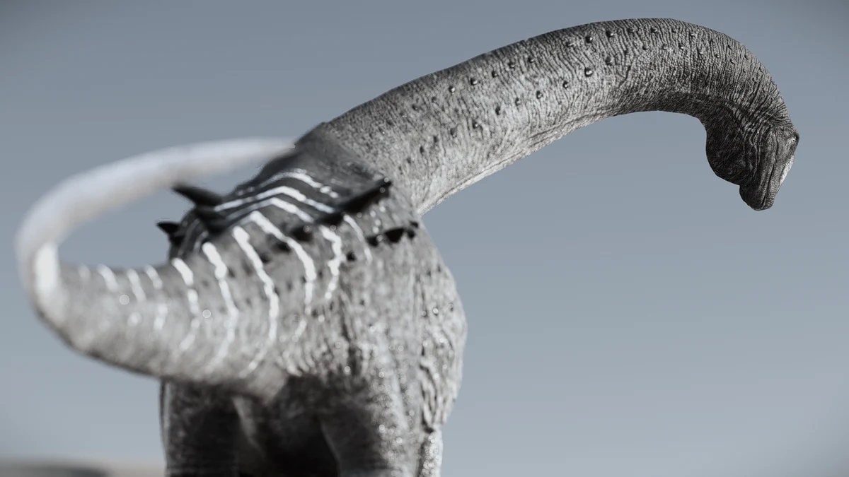 Rorqual, second picture